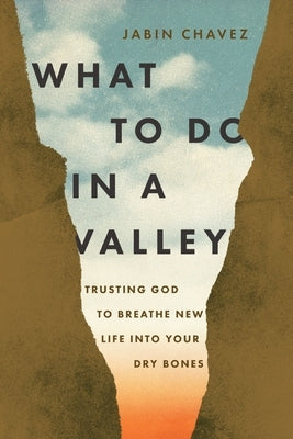 What to Do in a Valley: Unlocking God's Best When You're at Your Worst by Chavez, Jabin