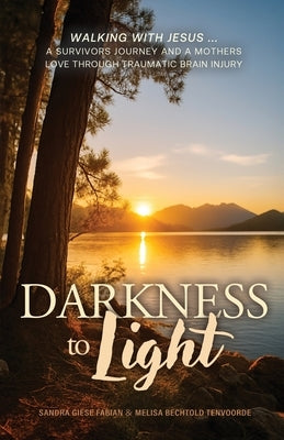 Darkness to Light: Walking with Jesus: A Survivor's Journey and a Mother's Love through Traumatic Brain Injury by Fabian, Sandra Giese