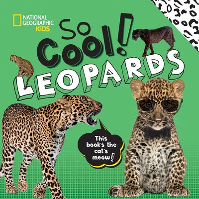 So Cool! Leopards by Boyer, Crispin