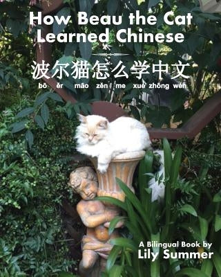 How Beau the Cat Learned Chinese by Summer, Lily