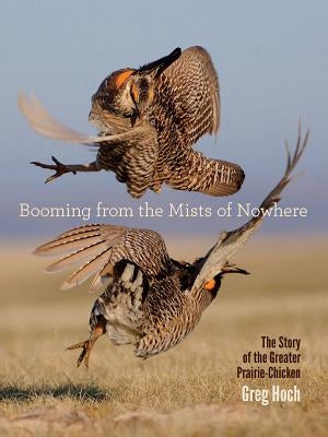 Booming from the Mists of Nowhere: The Story of the Greater Prairie-Chicken by Hoch, Greg