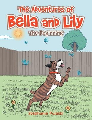 The Adventures of Bella and Lily: The Beginning by Pulaski, Stephanie