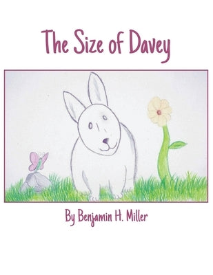 The Size of Davey by Miller, Benjamin H.