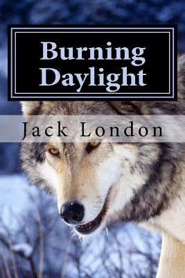 Burning Daylight by Hollybook
