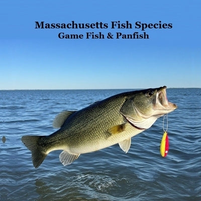 Massachusetts Game Fish and Panfish Species Kids Book: Great Book About the Different Types of Fish in Massachusetts by Marie, Kinsey