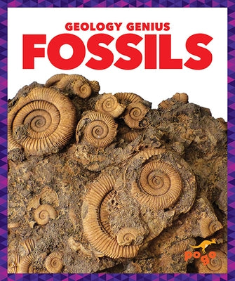 Fossils by Pettiford, Rebecca