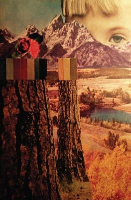 Careful Mountain by Woods, Sara June
