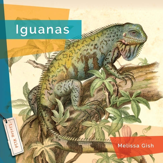 Iguanas by Gish, Melissa