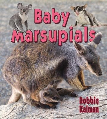 Baby Marsupials by Kalman, Bobbie