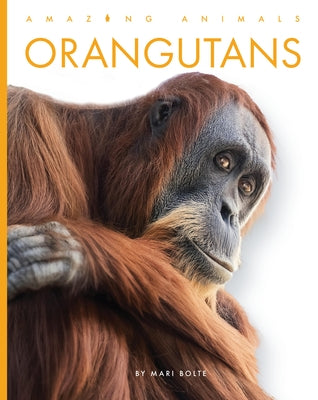 Orangutans by Bolte, Mari