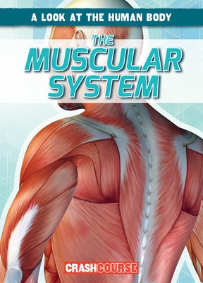 The Muscular System by Edwards, Jonas