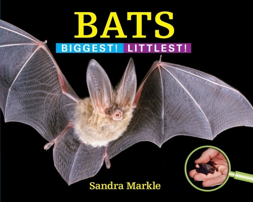 Bats: Biggest! Littlest! by Markle, Sandra
