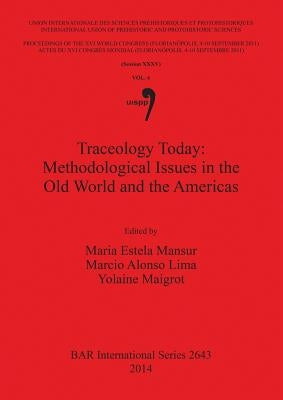 Traceology Today: Methodological Issues in the Old World and the Americas by Mansur, Maria Estela