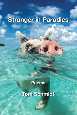 Stranger in Parodies by Schmidt, Tom