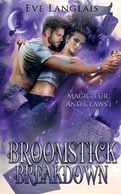 Broomstick Breakdown by Langlais, Eve
