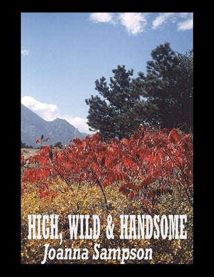 High, Wild & Handsome by Sampson, Joanna