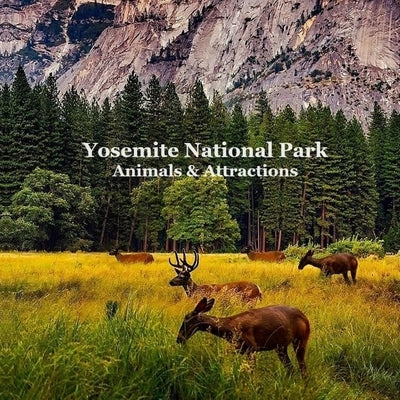 Yosemite National Park Animals & Attractions Kids Book: Great Way for Kids to See the Animals and Attractions in Yosemite National Park by Marie, Kinsey