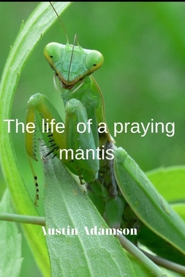 Тhe life of a praying mantis by Adamson, Austin