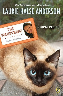 Storm Rescue by Anderson, Laurie Halse
