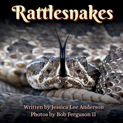 Rattlesnakes by Anderson, Jessica Lee