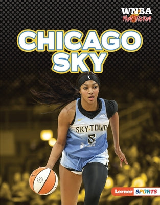 Chicago Sky by Anderson, Josh