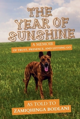 The Year of Sunshine by Bodlani, Zamiqhinga