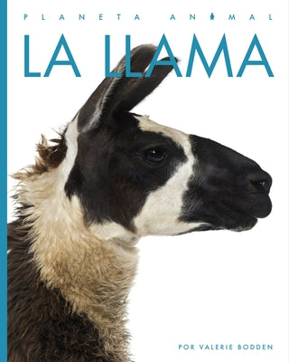 La Llama by Bodden, Valerie