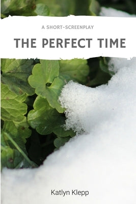 The Perfect Time by Klepp, Katlyn