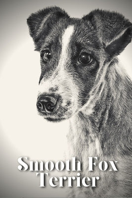 Smooth Fox Terrier: Dog breed overview and guide by Pustova, Nina