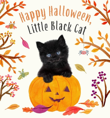 Happy Halloween, Little Black Cat by Wood, Amanda