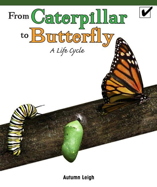 From Caterpillar to Butterfly: A Life Cycle by Leigh, Autumn