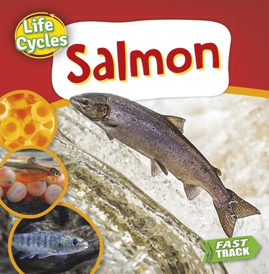 Salmon by Dickmann, Nancy