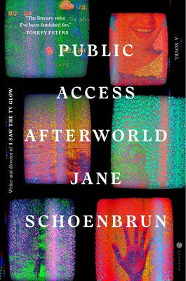 Public Access Afterworld by Schoenbrun, Jane