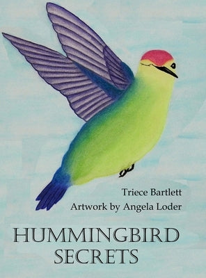 Hummingbird Secrets: Night Time Reader by Bartlett, Triece