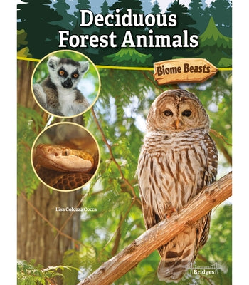 Deciduous Forest Animals by Cocca, Lisa Colozza