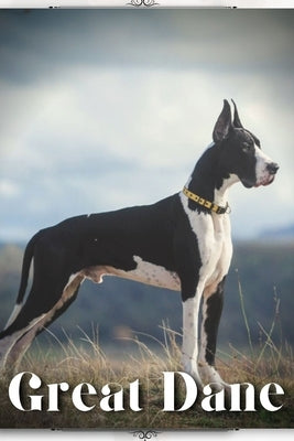 Great Dane: Dog breed overview and guide by Pustova, Nina