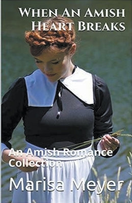 When An Amish Heart Breaks by Meyer, Marisa