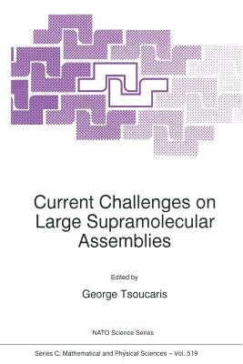 Current Challenges on Large Supramolecular Assemblies by Tsoucaris, Georges