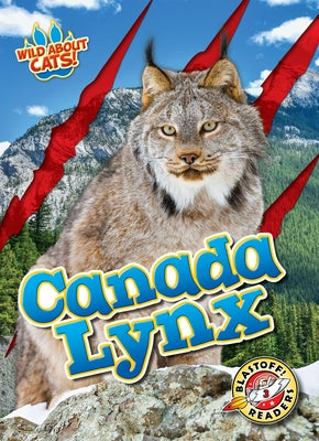 Canada Lynx by Anderson, Shannon