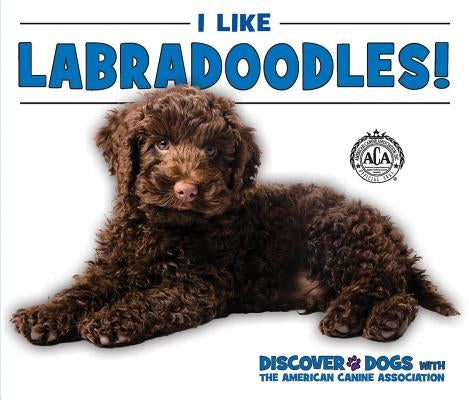 I Like Labradoodles! by Bozzo, Linda