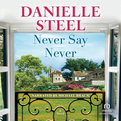Never Say Never by Steel, Danielle