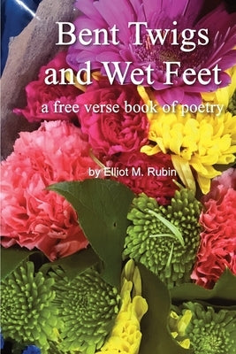 Bent Twigs and Wet Feet: a free verse book of poetry by Rubin, Elliot M.