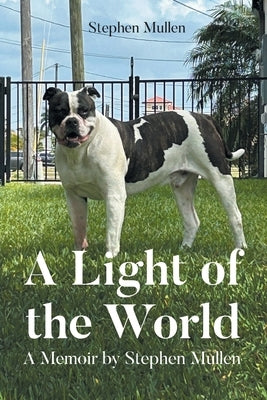 A Light of the World: A Memoir by Stephen Mullen by Mullen, Stephen