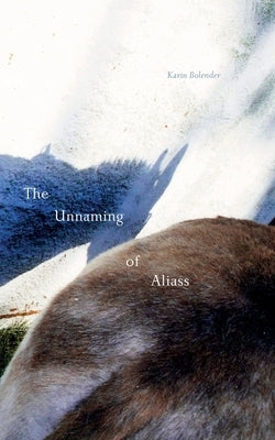 The Unnaming of Aliass by Bolender, Karin