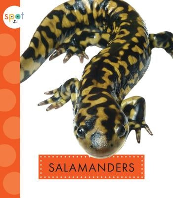 Salamanders by Schuh, Mari C.