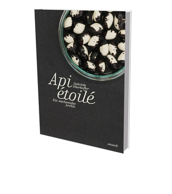Gabriela Oberkofler: Apit Étoilé - A Growing Archive: Cat. Villa Merkel Esslingen by Pircher, Elisabeth