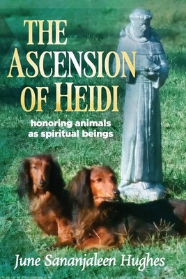 The Ascension of Heidi: A Longhaired Dachshund by Hughes, June Sananjaleen
