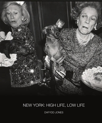 New York: High Life, Low Life by Jones, Dafydd
