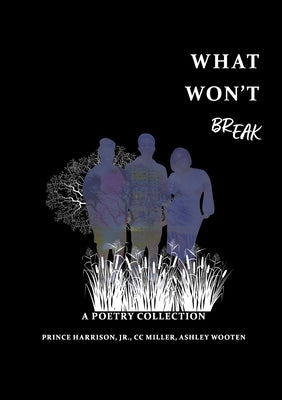 What Won't BREAK by Harrison, Prince, Jr.