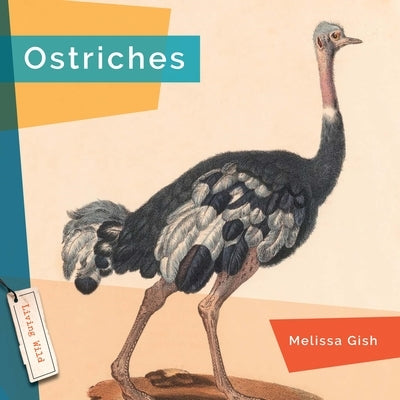 Ostriches by Gish, Melissa